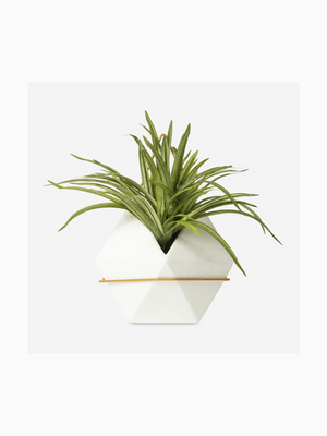 Potted Faux Hanging Orchid Grass