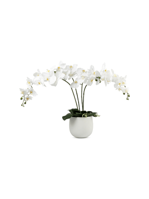 Faux Butterfly Orchid 4 Stems In White Pot