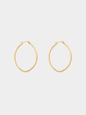 Stainless Steel Gold Plated Oval Hoops 40mm