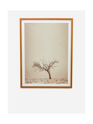 Lone Tree Framed Photography Art 60 X 80cm