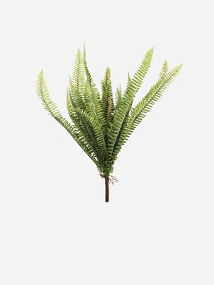 stem bunch fern leaves 89cm