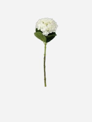 stem single hydrangea white 75cm