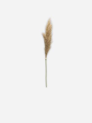 stem reed grass natural 127cm