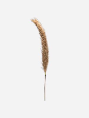stem reed grass pink 127cm