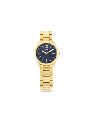 Tempo Men’s Minimalist Gold & Blue Tone Watch