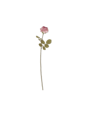 stem single autumn rose pink 67cm