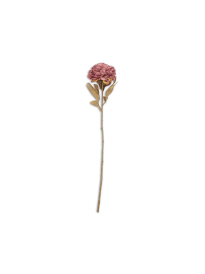stem single autumn peony dark pink 78cm