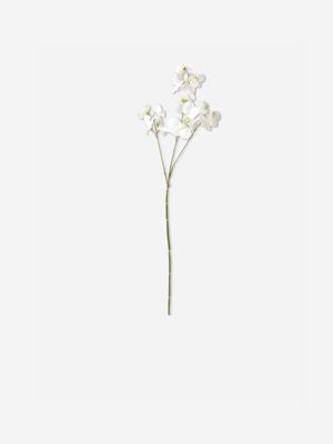 Faux Pea Blossom White 73cm