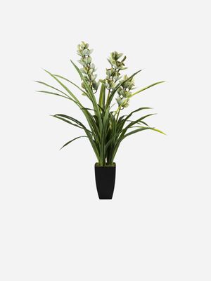 Large Faux Cymbidium Orchid In Plastic Pot