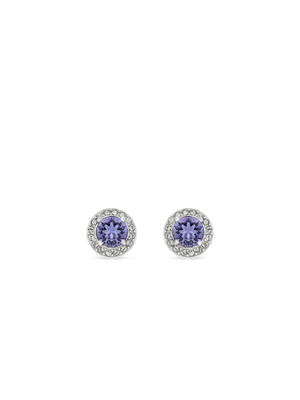 Sterling Silver Crystal Women's December Birthstone Stud Earrings