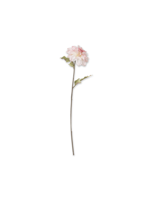dahlia stem pink 78cm