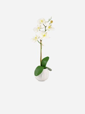 Faux Orchid Plant in Ceramic Pot White
