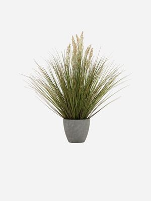 potted onion grass in melamine pot 76cm