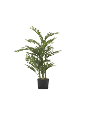 palm tree in plastic pot 82cm