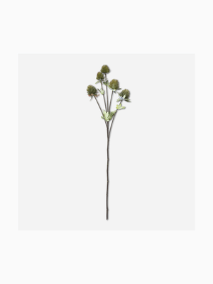 stem cursium green 72cm