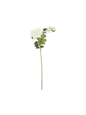 antique rose with 2 stems white 78cm