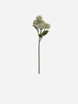 stem sedum white 61cm