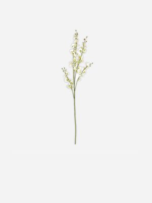 stem oncidium flowers white 91cm