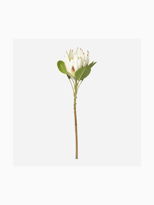 Faux Protea Stem White 56cm