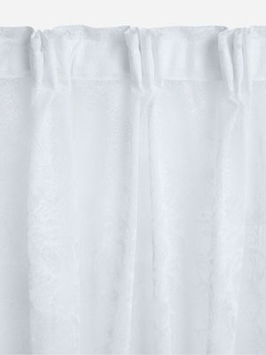Jet Home White Pasha Lace Taped Curtain