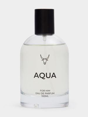 Men's Aqua Perfume