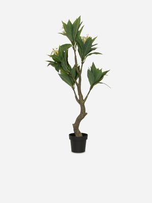 Real Touch Frangipani Tree In Pot 130cm