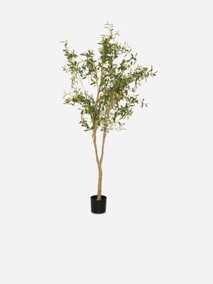 Faux Olive Tree in Pot 223cm