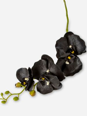 Faux Butterfly Orchid Stem Black 86cm