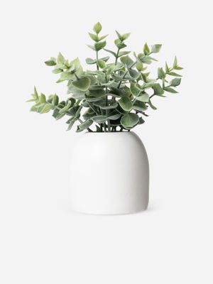 Faux Eucalyptus In Ceramic Pot