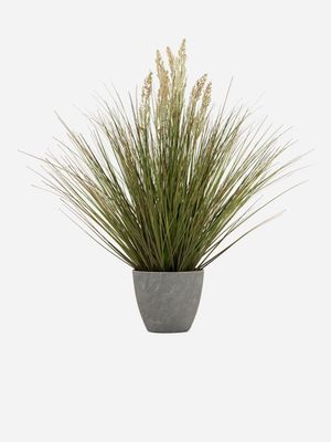 potted onion grass in melamine pot 76cm