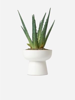 Faux Aloe in Ceramic Hourglass Pot 34cm