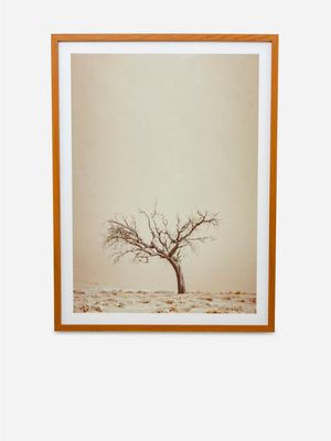 Lone Tree Framed Photography Art 60 X 80cm