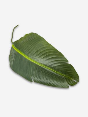 Faux Travellers Palm Leaf 102cm