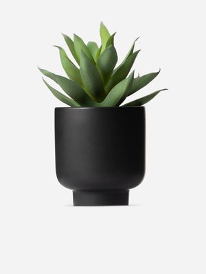 Faux Aloe In Ceramic Pot