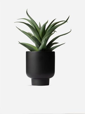 Faux Spikey Aloe In Ceramic Pot