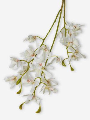 Faux Papilionanthe Orchid White