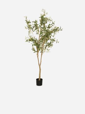 Faux Olive Tree in Pot 223cm