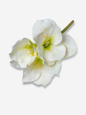 Faux Amaryllis 3 Flowers White 60cm