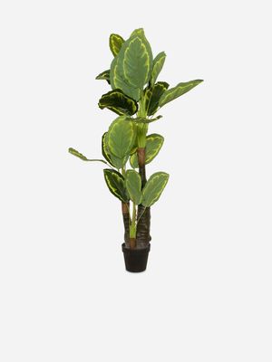 Faux Maranta Tree in Plastic Pot 160cm