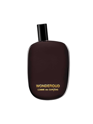 Fabiani Men's Comme des Garçons Wonderoud 80ml