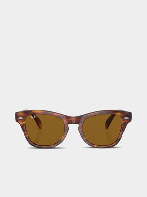 Ray-Ban Brown Sunglasses