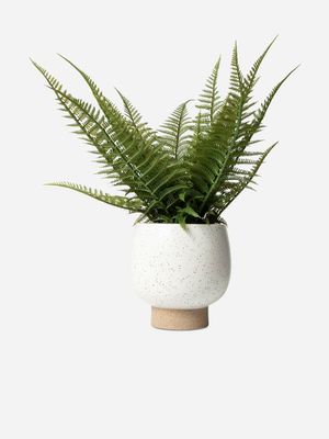 Faux Fern In Footed Ceramic Pot 38 x 57cm