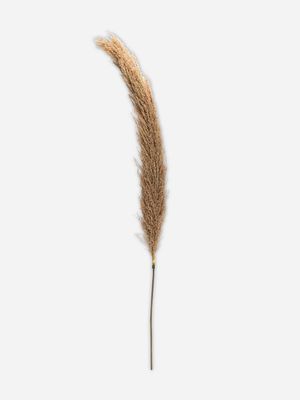 stem reed grass pink 127cm