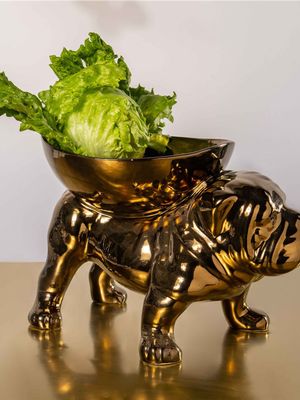 Rialheim Brutus Bull Dog Bronze 27cm