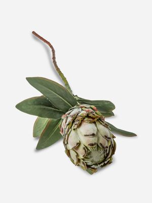 Faux Protea Cynaroides Stem Green 73cm