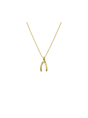 Gold Tone Brass Wishbone Pendant on Chain