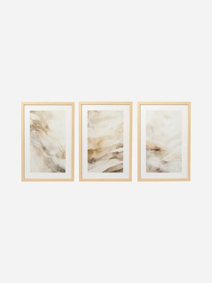 Framed Naturals Art Set Of 3