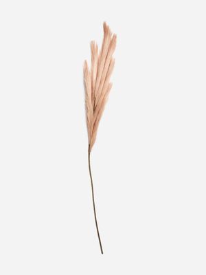 Jet Home Mink Pampas Grass