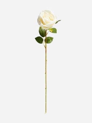 Jet Home White Rose Stem 9cm