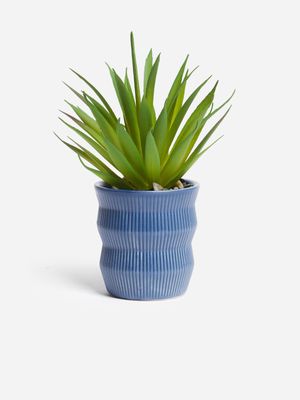 Jet Home Blue Ribbed House Plant